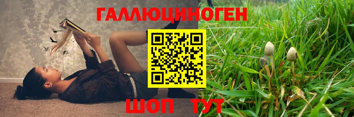 Галлюциногенные грибы Psilocybine cubensis  Галлюциногенные грибы Psilocybe  Шали  Вход с VPN 