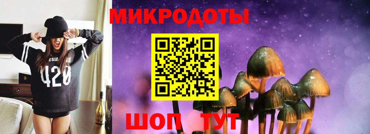Псилоцибиновые грибы прущие грибы Шали